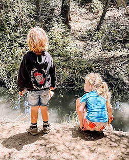 Forest school group learning from trail signage during guided outdoor exploration and environmental education.