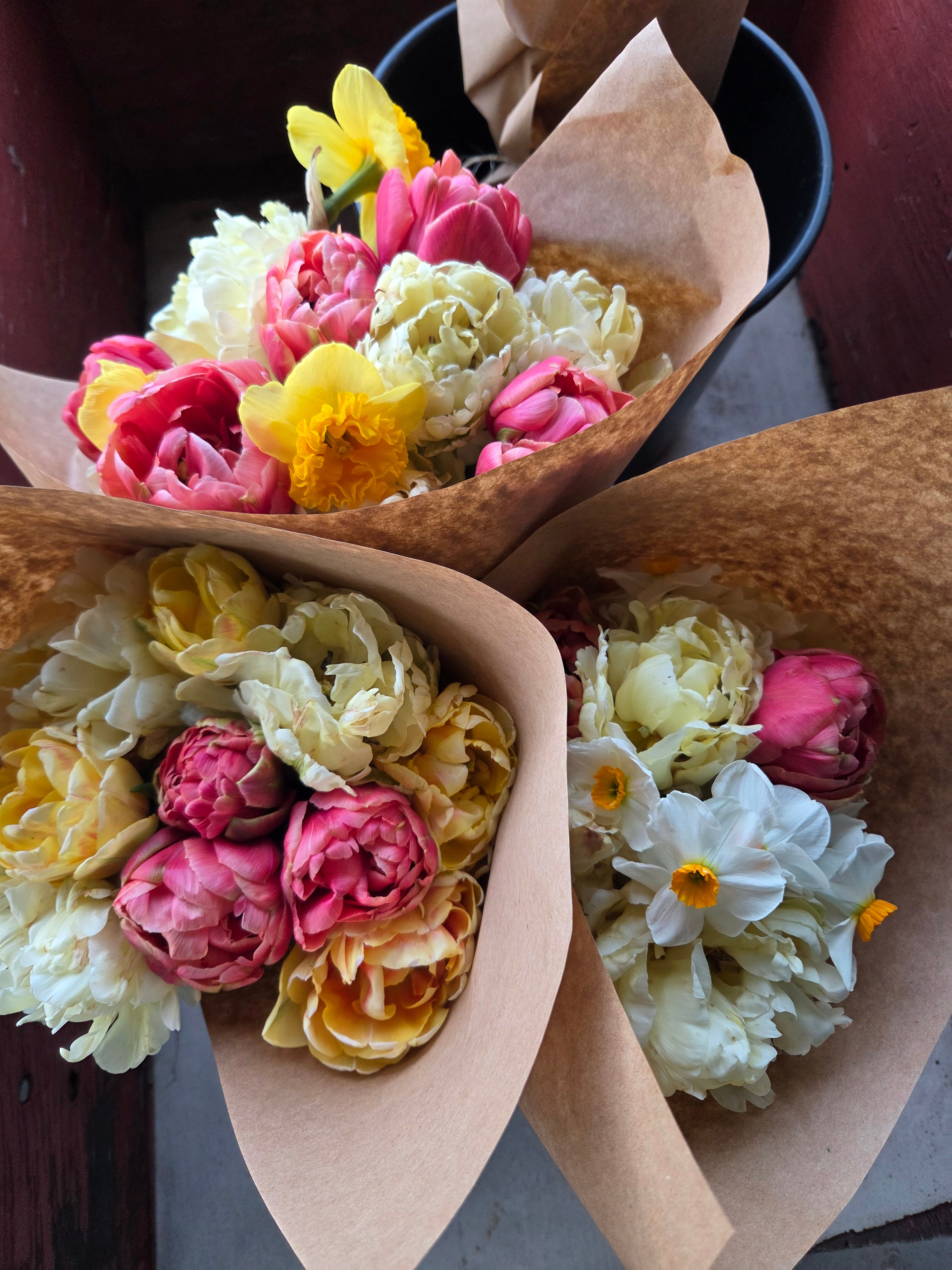 Spring Mix Tulip and Narcissus Bunches
