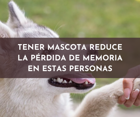 Tener mascota reduce la pérdida de memoria en estas personas