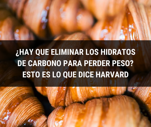 ¿Hay que eliminar los hidratos de carbono para perder peso? Esto es lo que dice Harvard