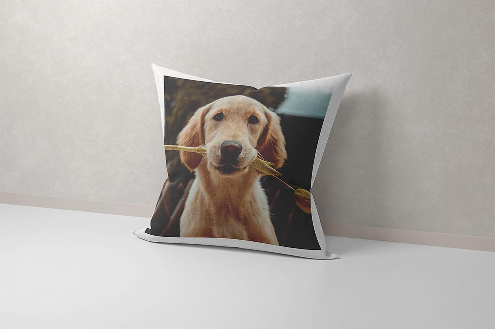 Thumbnail: Personalised Cushion - Personalized with Any Text & Image (VARIOUS OPTIONS AVAI