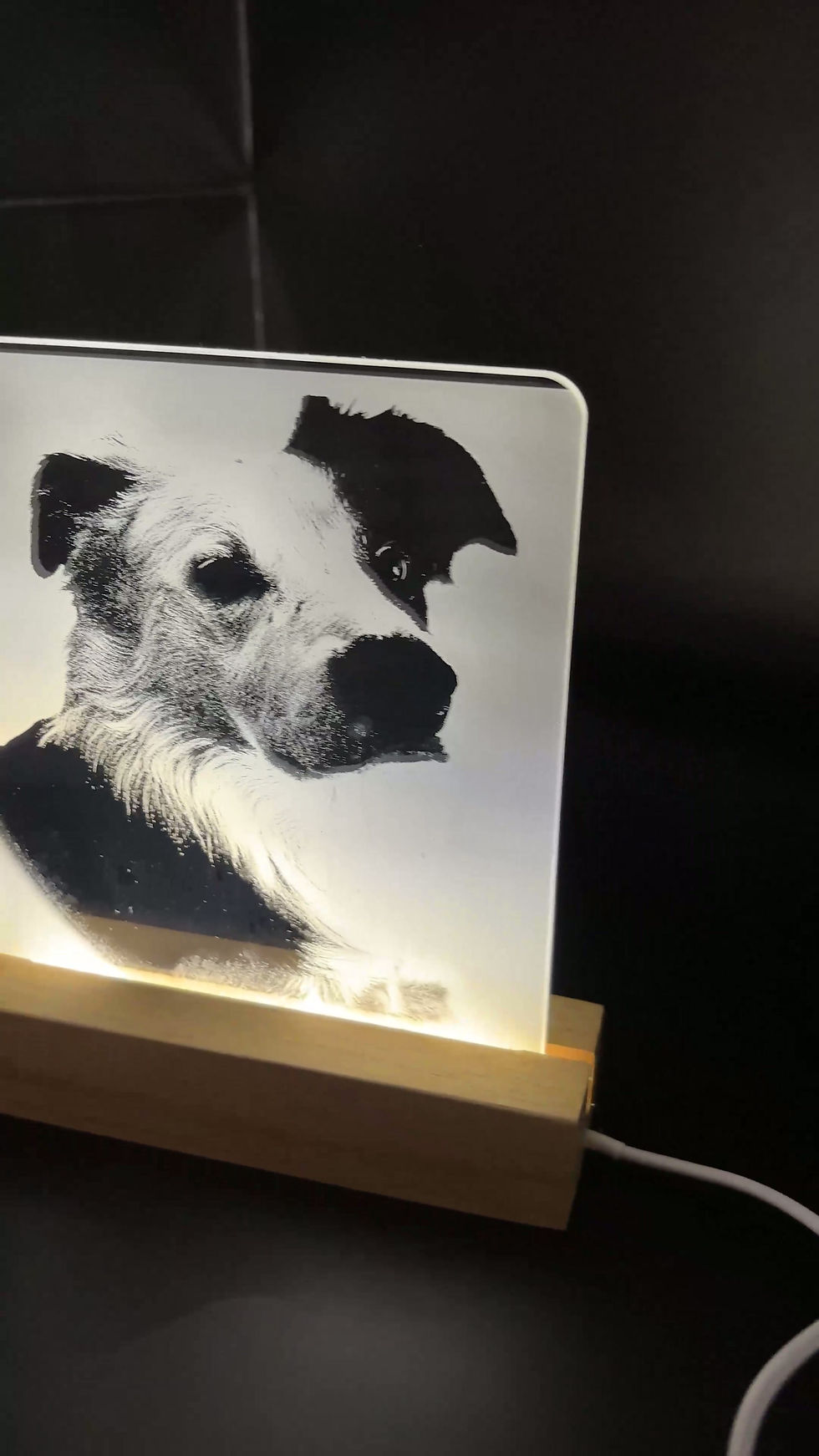 Thumbnail: Have your pet's photograph illuminated on clear acrylic!