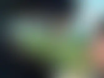 Corrupción y unicornios