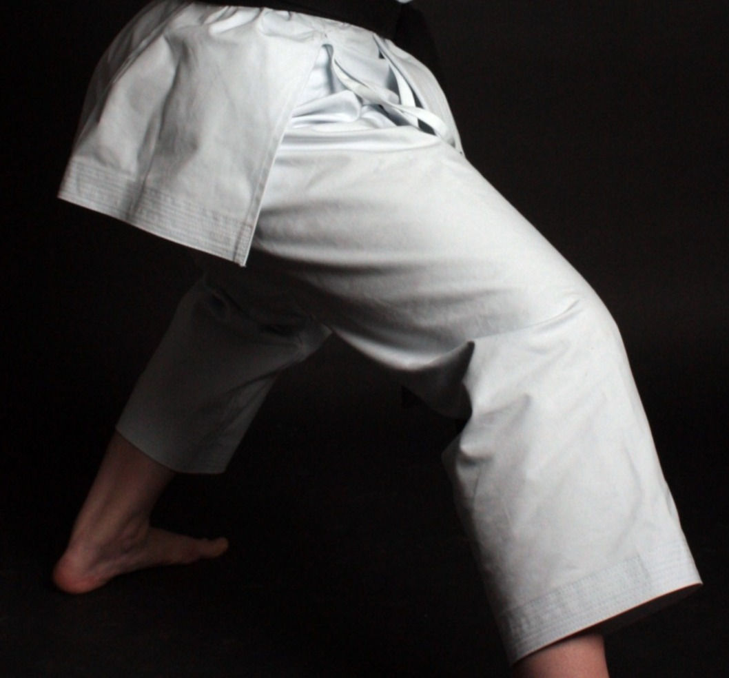 Only the pants - Shobu Champion (SBC)