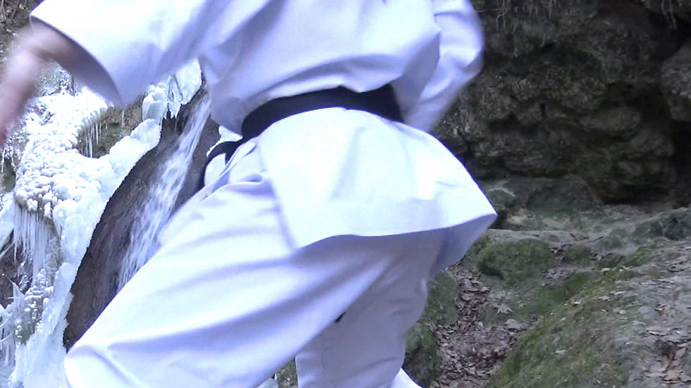 Thumbnail: Shobu Bishamonten (TC) - Complete Karategi