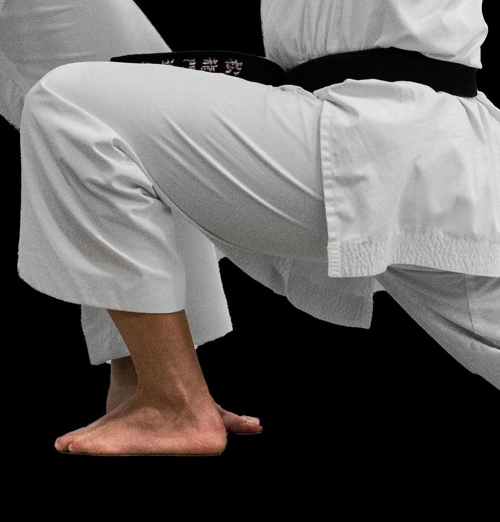 NEW Only the pants - Shobu Kumite II (SB-12 Type S)