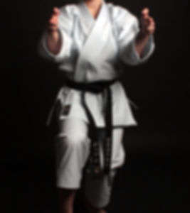 Shobu Bishamonten (TC) - Complete Karategi