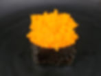 Smelt Roe (Masago)