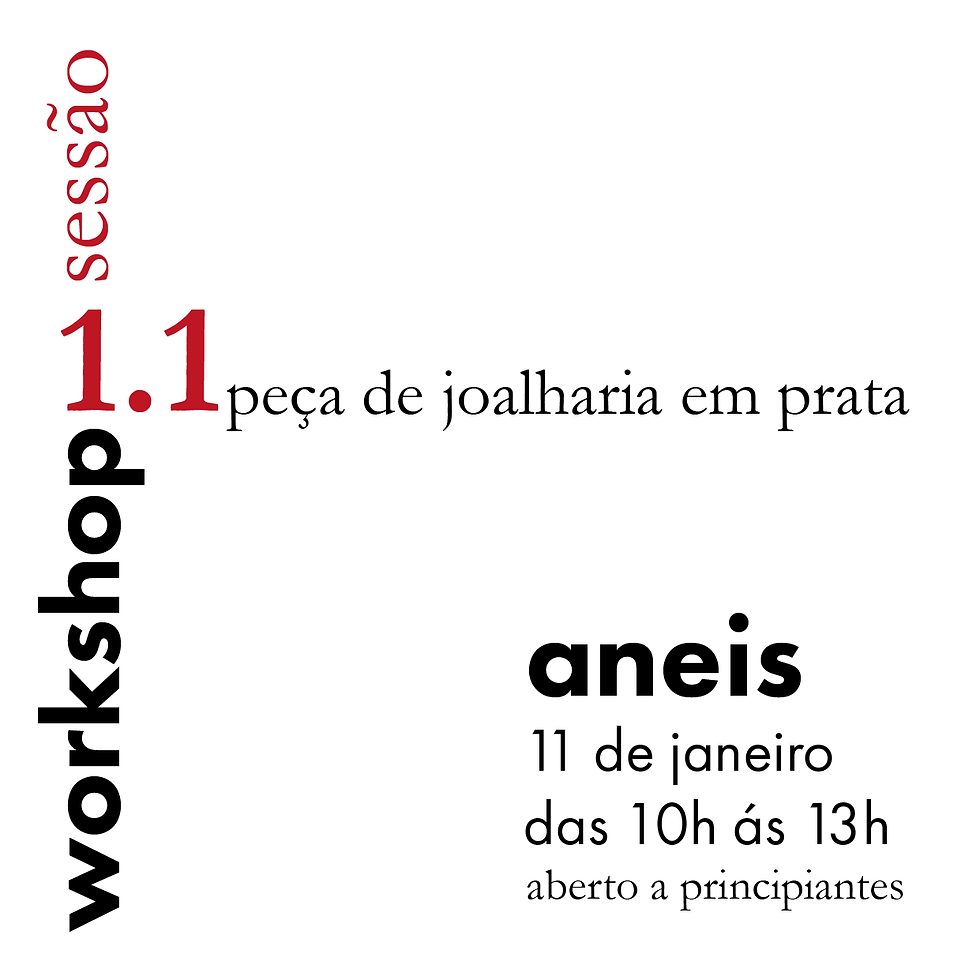 workshop 1.1 - aneis