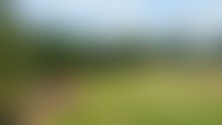 D.O.G.S. Third Round at Permata Sentul Golf & Country Club