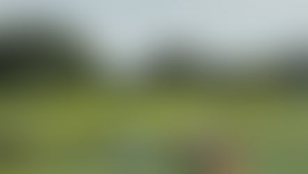 Fourth Round at Imperial Klub Golf