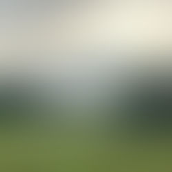 D.O.G.S. Penultimate Round at Riverside Golf Club