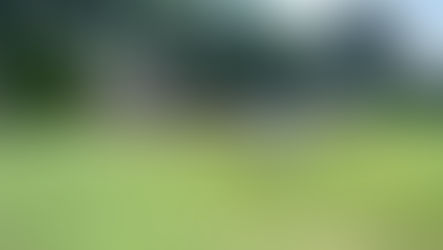 D.O.G.S. First Round at Riverside Golf Club