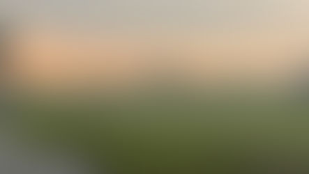 D.O.G.S. Final Round at Imperial Klub Golf