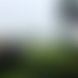 D.O.G.S. Penultimate Round at Modern Golf & Country Club