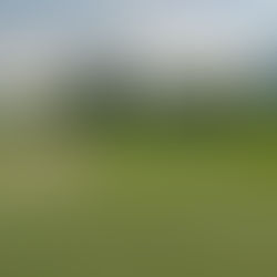 D.O.G.S. Second Round at Imperial Klub Golf