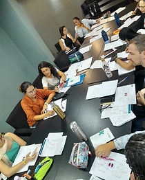 Curso análise bioquímica Elaine e Fernanda (7).jpg