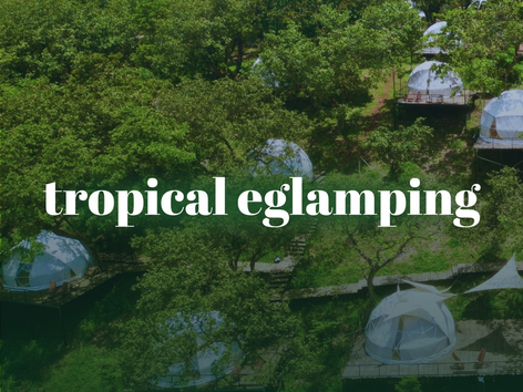 Nhìn Lại Năm 2024 Cùng Tropical Eglamping: Những Dấu Ấn Đáng Tự Hào