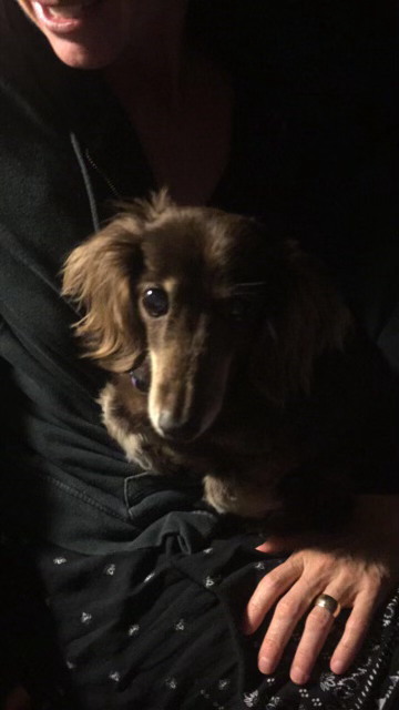 Why are you trembling?