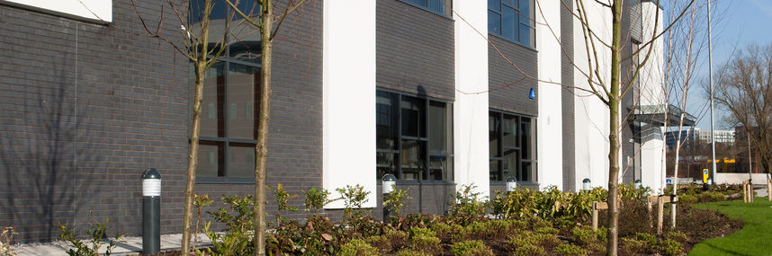LGC building - grass verge