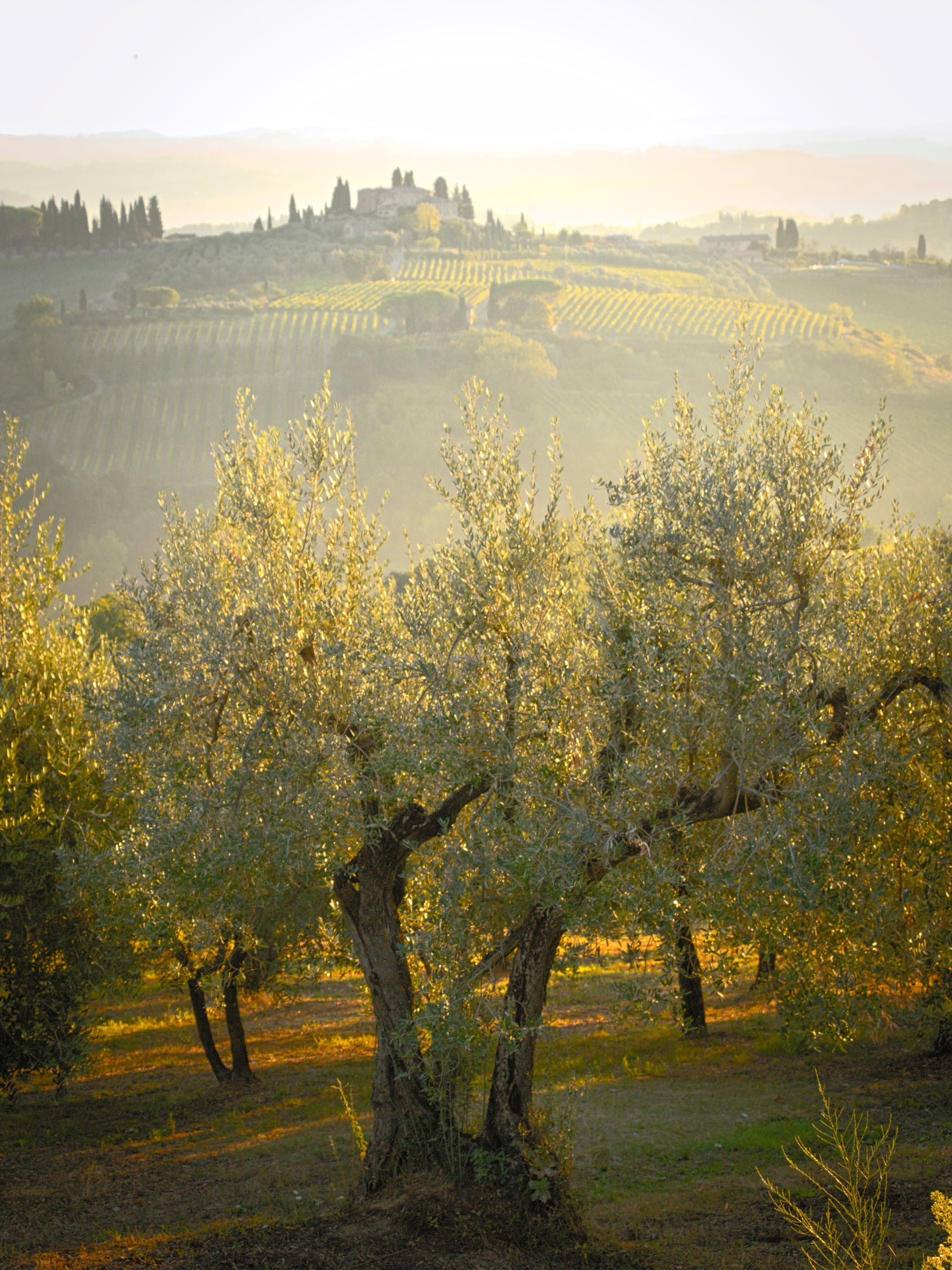 tuscany