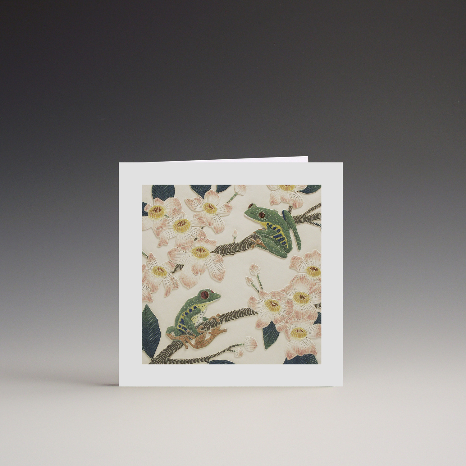 red eyed tree frog greeting card on display