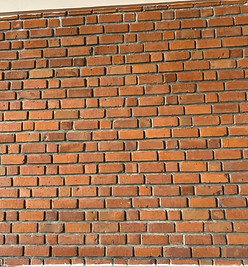 IMG_1041 Large.jpeg