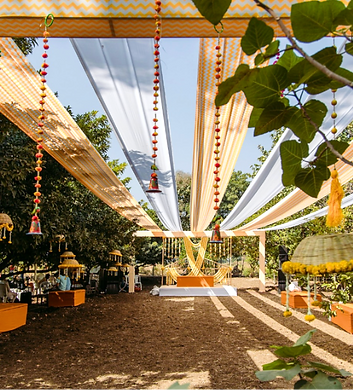 Fruit garden haldi celebration__edited.png