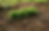 Farming