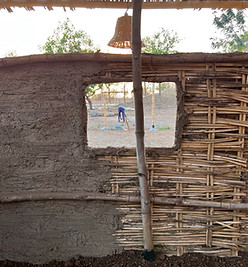 IMG_0193 Large.jpeg