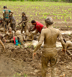Mud bath.png
