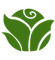 farm cabbage-1-01.png
