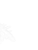 Topo (2)_edited.png