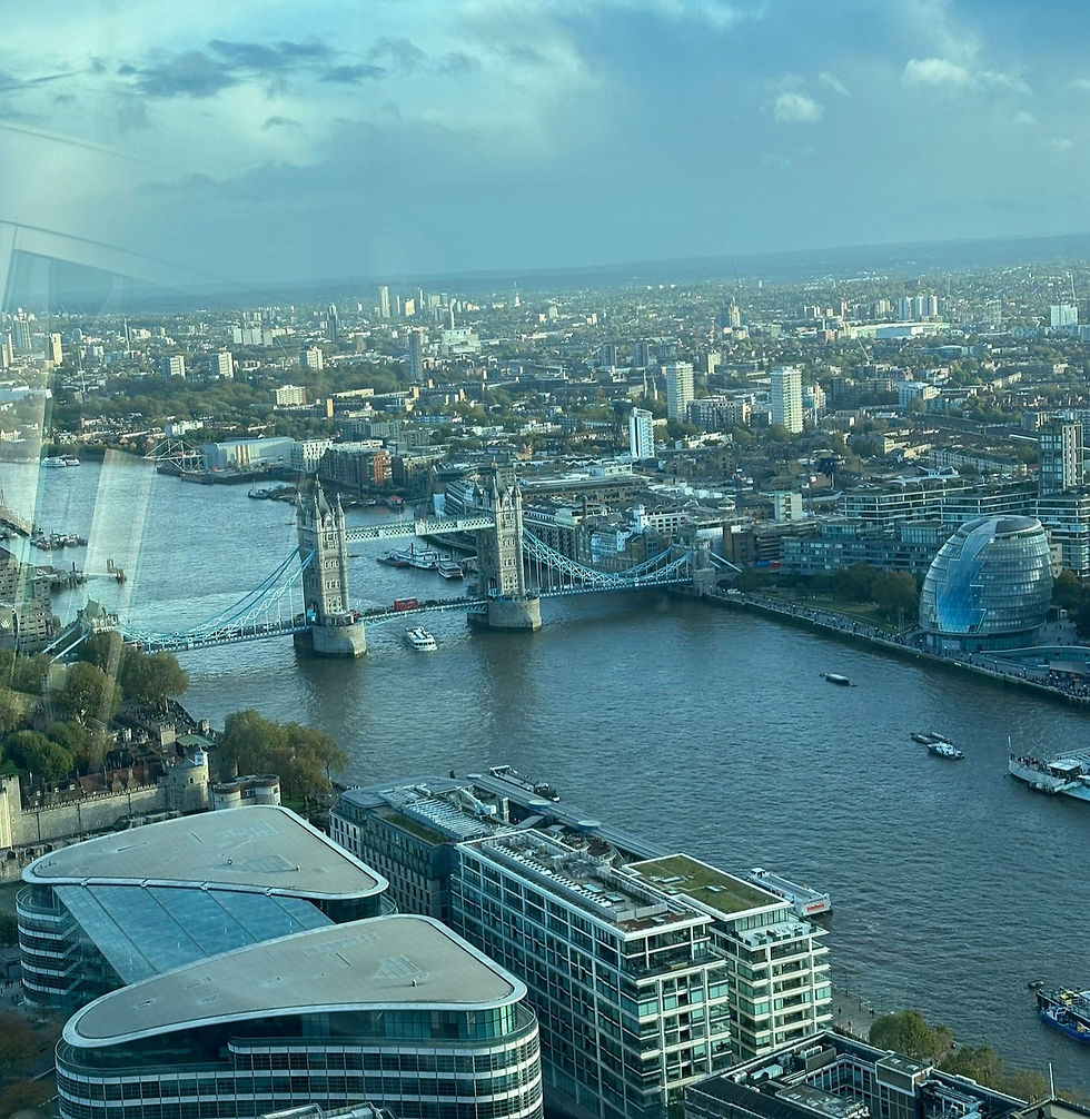 Vista dallo Skygarden - Londra