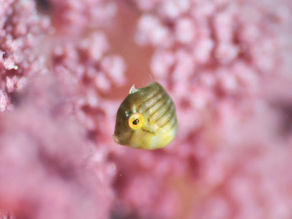 2023.09/10〜かっちゃま〜