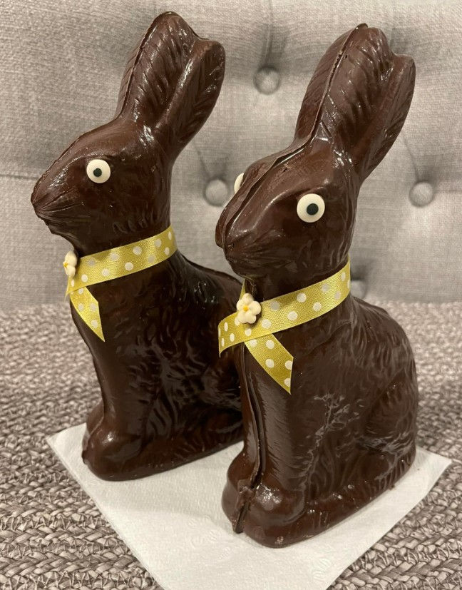 Chocolate Easter Bunny 8"
