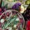 Miniaturbild: Wraps und Obst