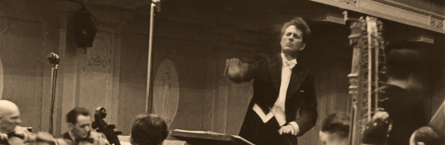 Studiju Metai Dvarionas1