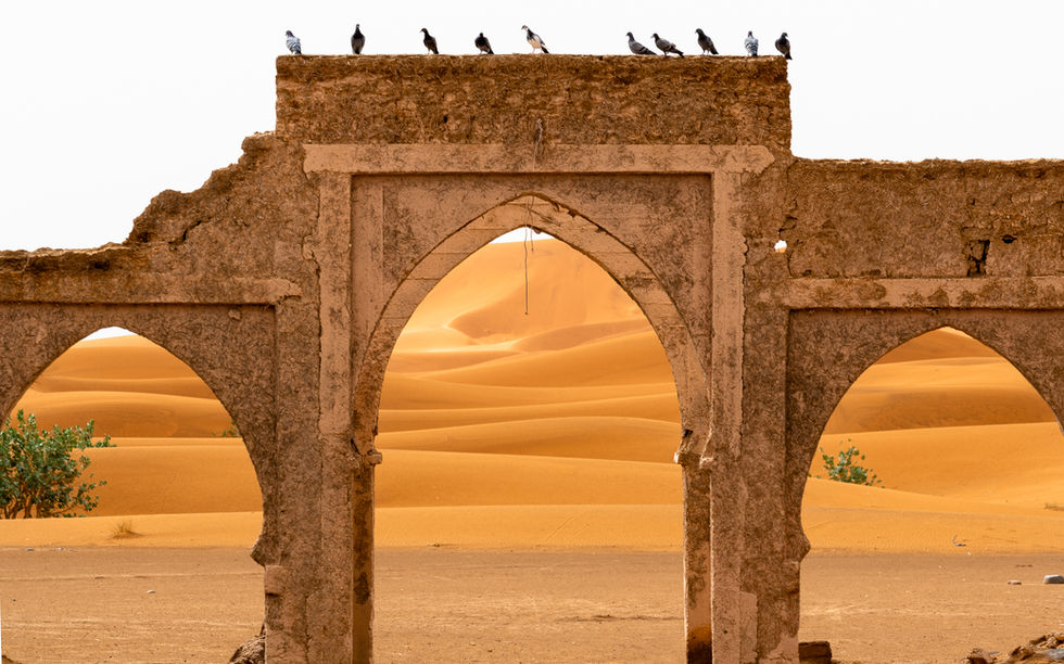 Morocco AYP - --4.jpg