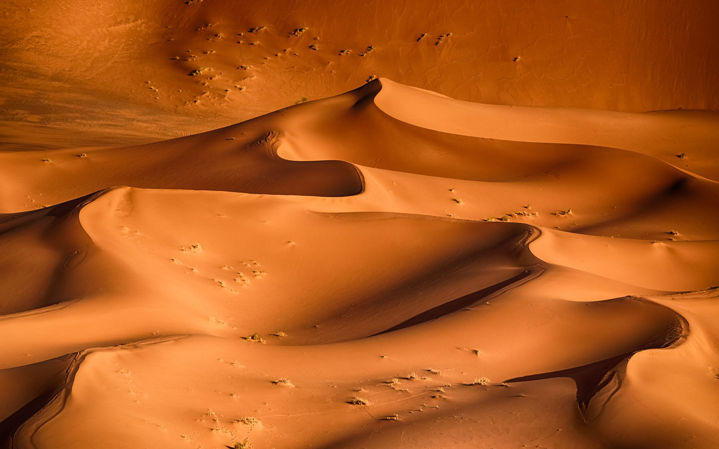 Sahara Morocco Morocco photography tour workshop