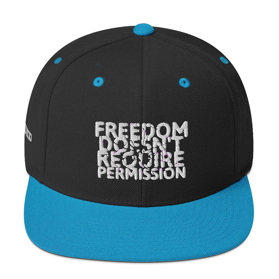 Thumbnail: FREEDOM Doesn't Require Permission: Snapback Hat