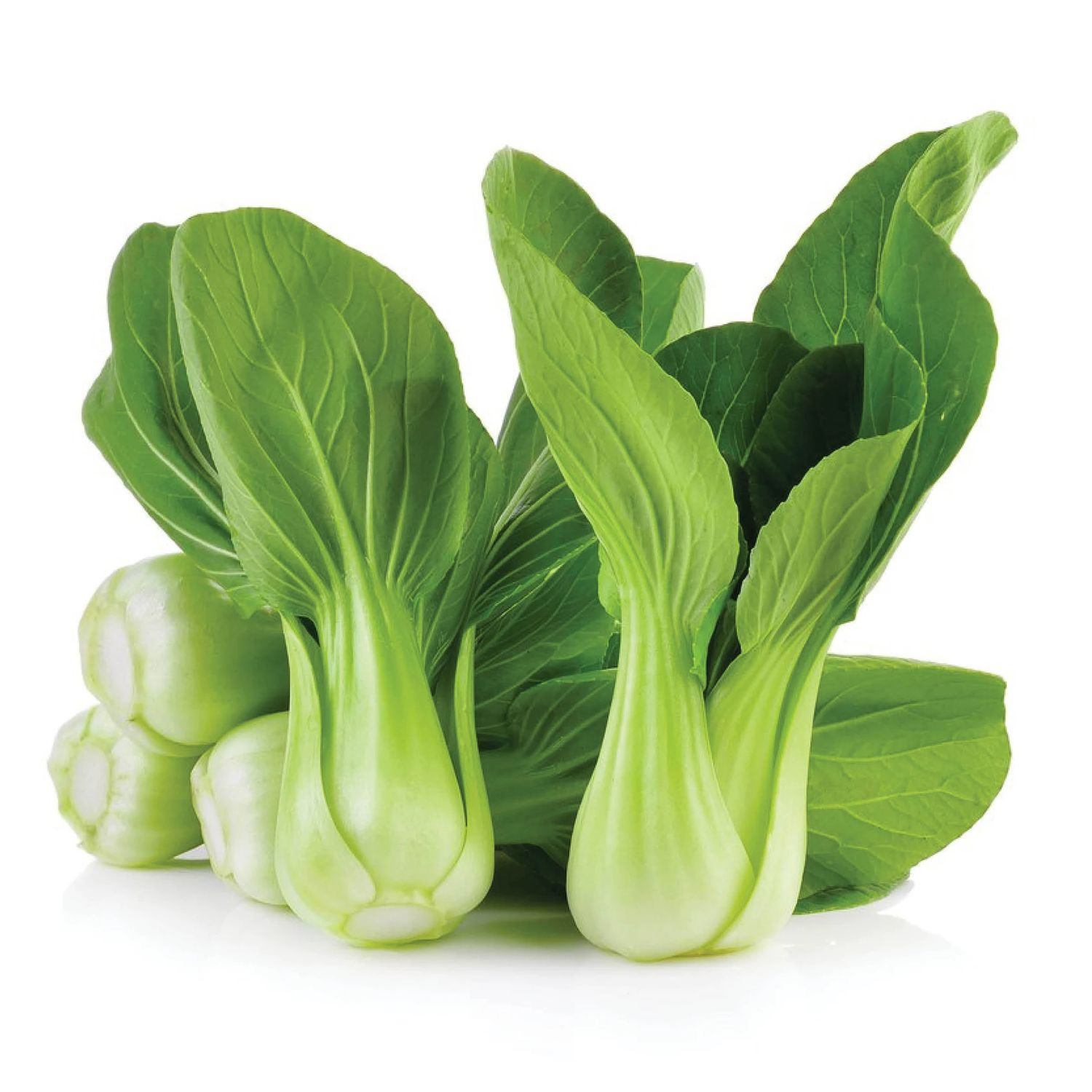 NM - Pak Choi White Stemmed