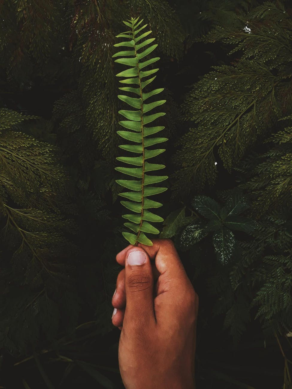Green Middle Finger