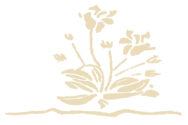 Flower.gif