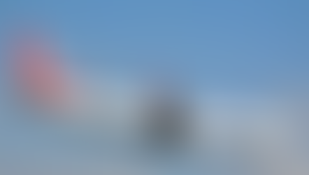 Boeing 737 MAX: Unsuccessful Successor of a Successful Aircraft
