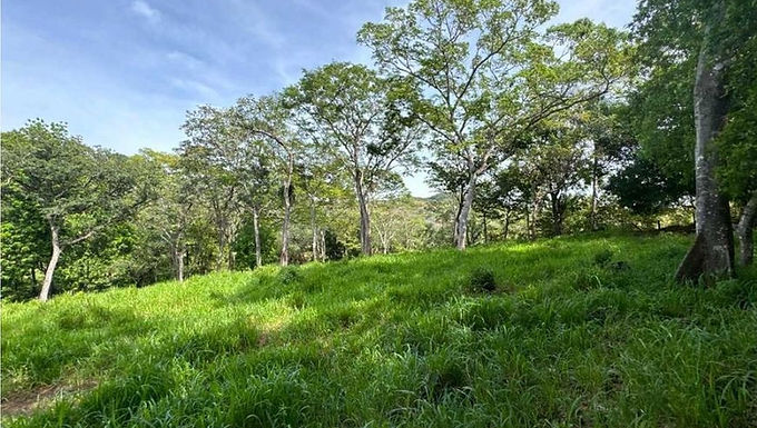 Santa Cruz