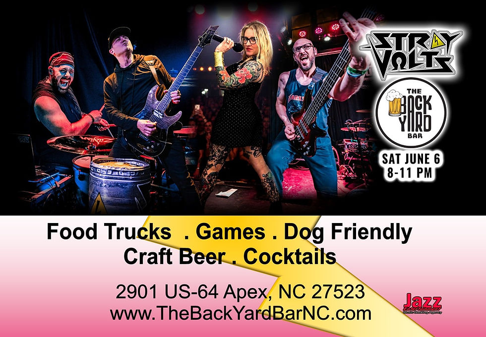 STRAY VOLTS Triangle's Premier Party Rock Bands