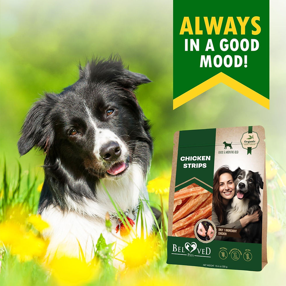 Thumbnail: Chicken Strips Dog Treats Human Grade Meat Sticks Grain Free Chews 10.6 Oz