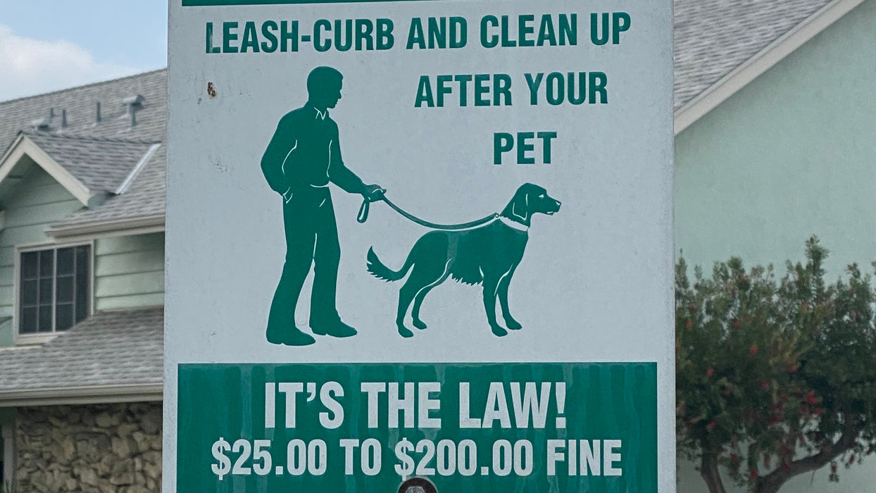 Pet Station (1 of 3)