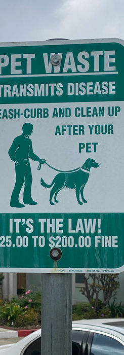 Pet Station (1 of 3)